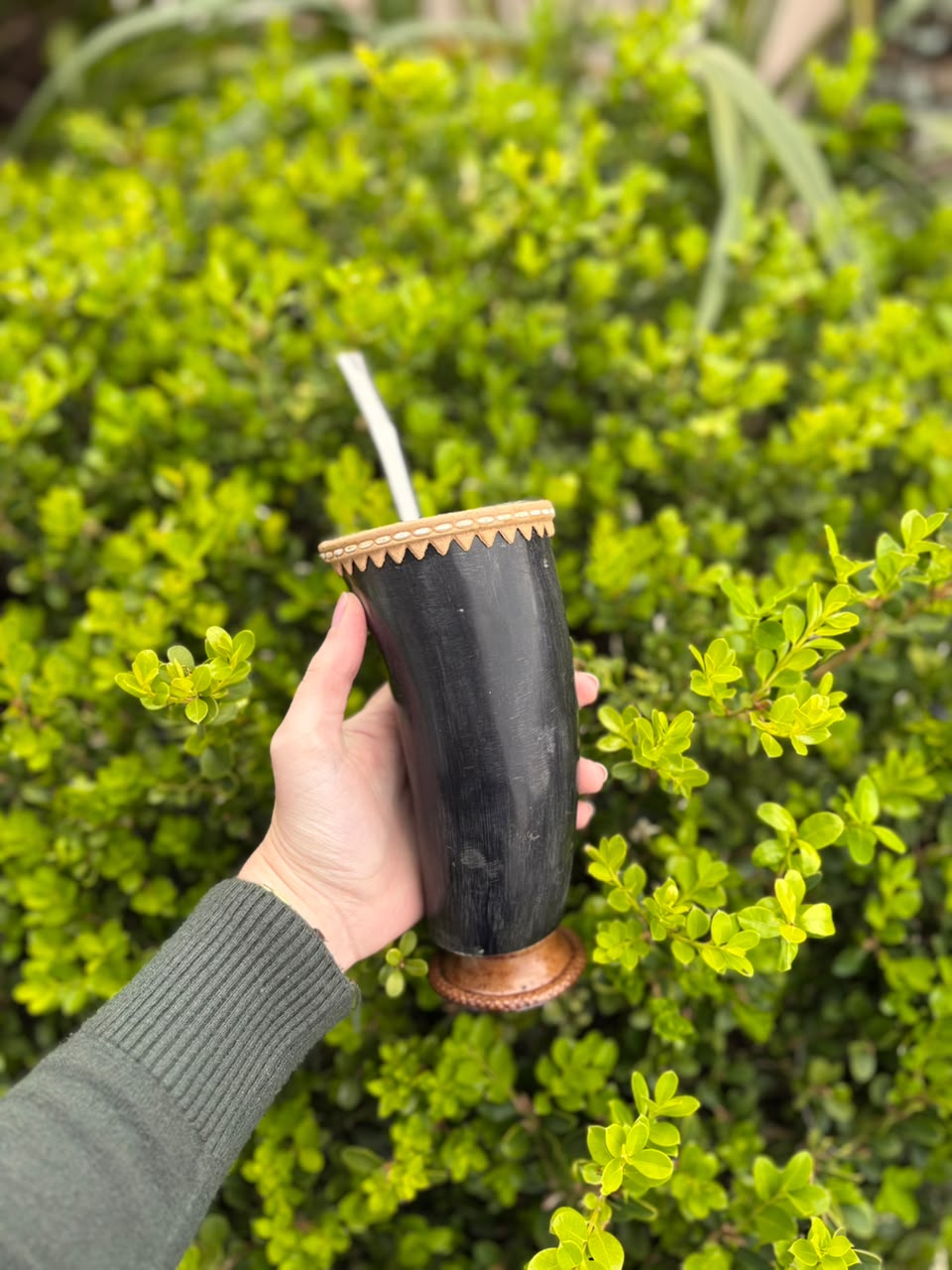 Guampa de chifre bovino natural com base de madeira e bomba de inox